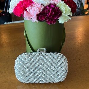 NWOT ALDO FASHION CLUTCH / MINI PURSE